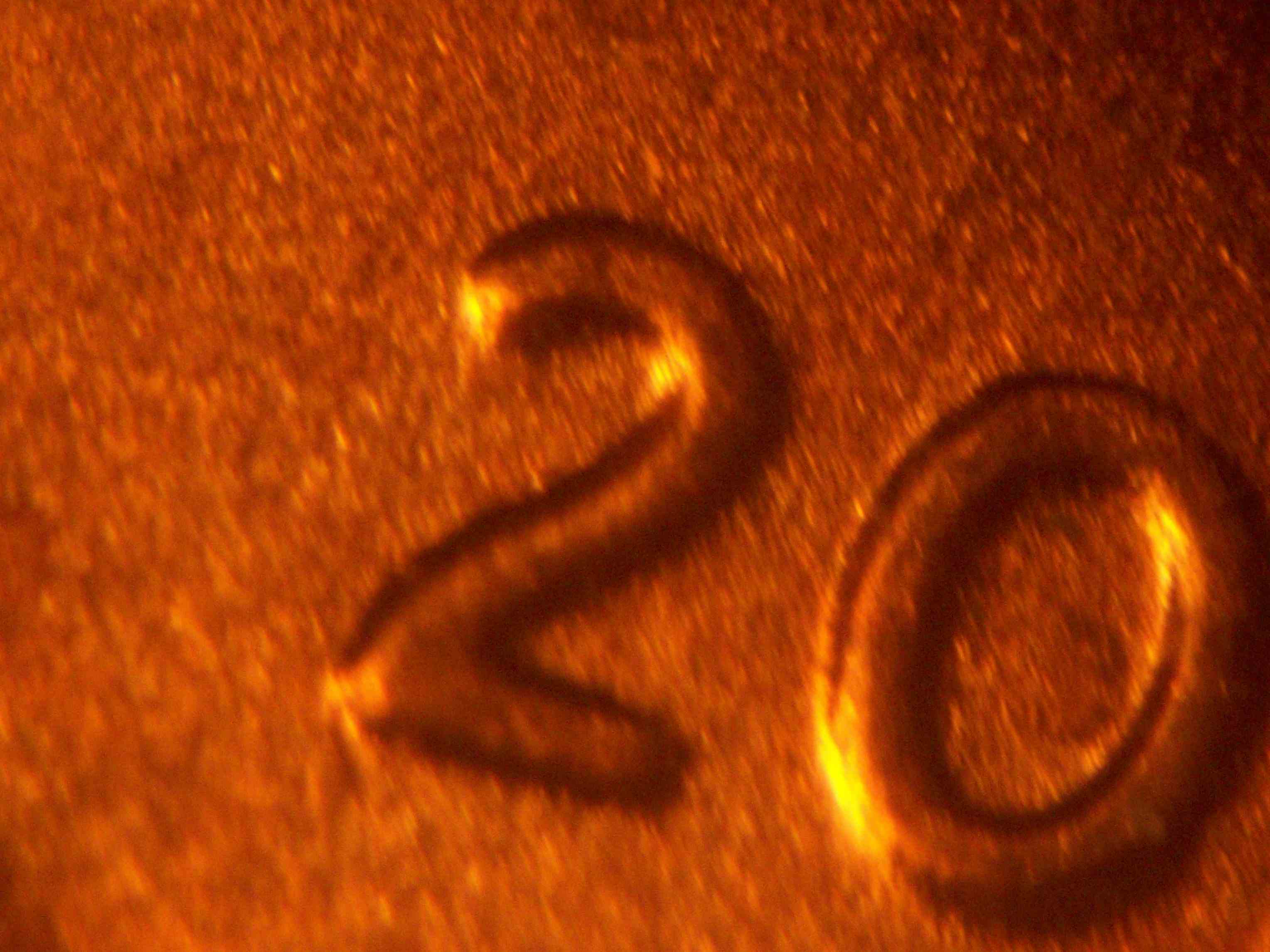 2021-P-Lincoln-Shield-Cent-New-Discovery-Doubled-Die-OBV-On-Liberty-Very-Minor-2-Of-Date